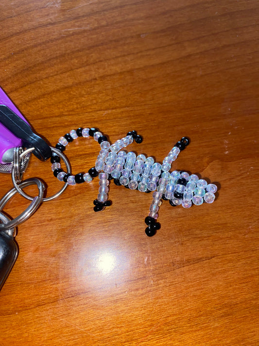 ‘KOKOLOKO’ BENEFICO