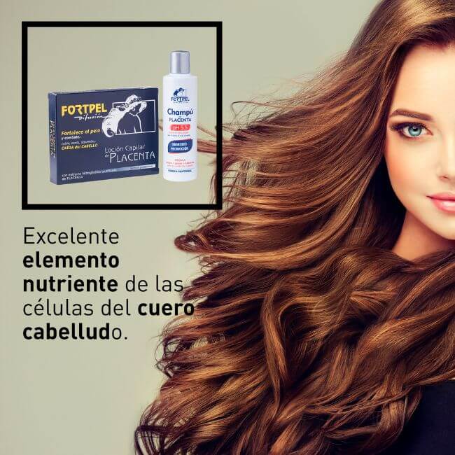 Pack 6 viales placenta 6x15 ml + Champú placenta - 200 ml